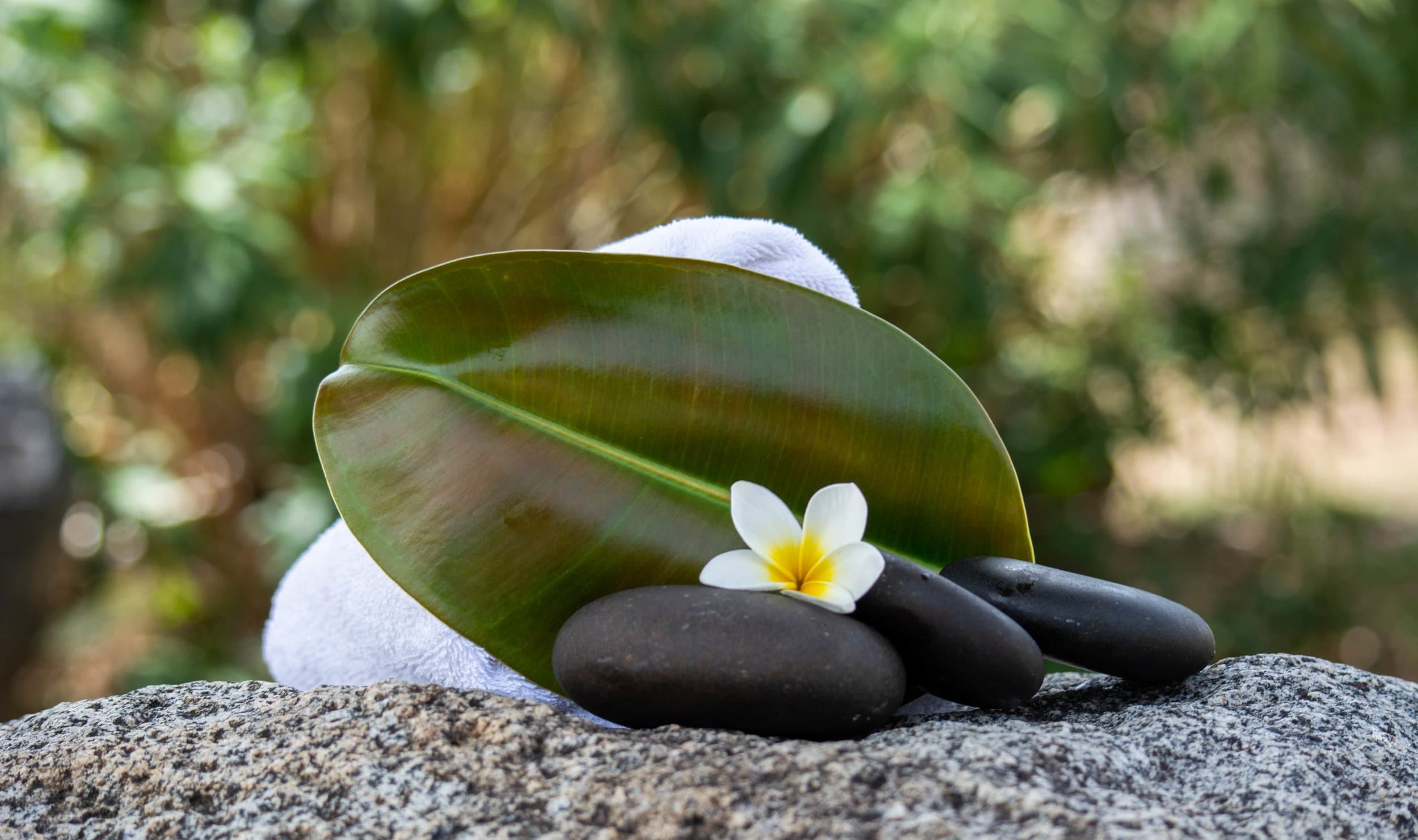 Solitude Day Spa and Salon