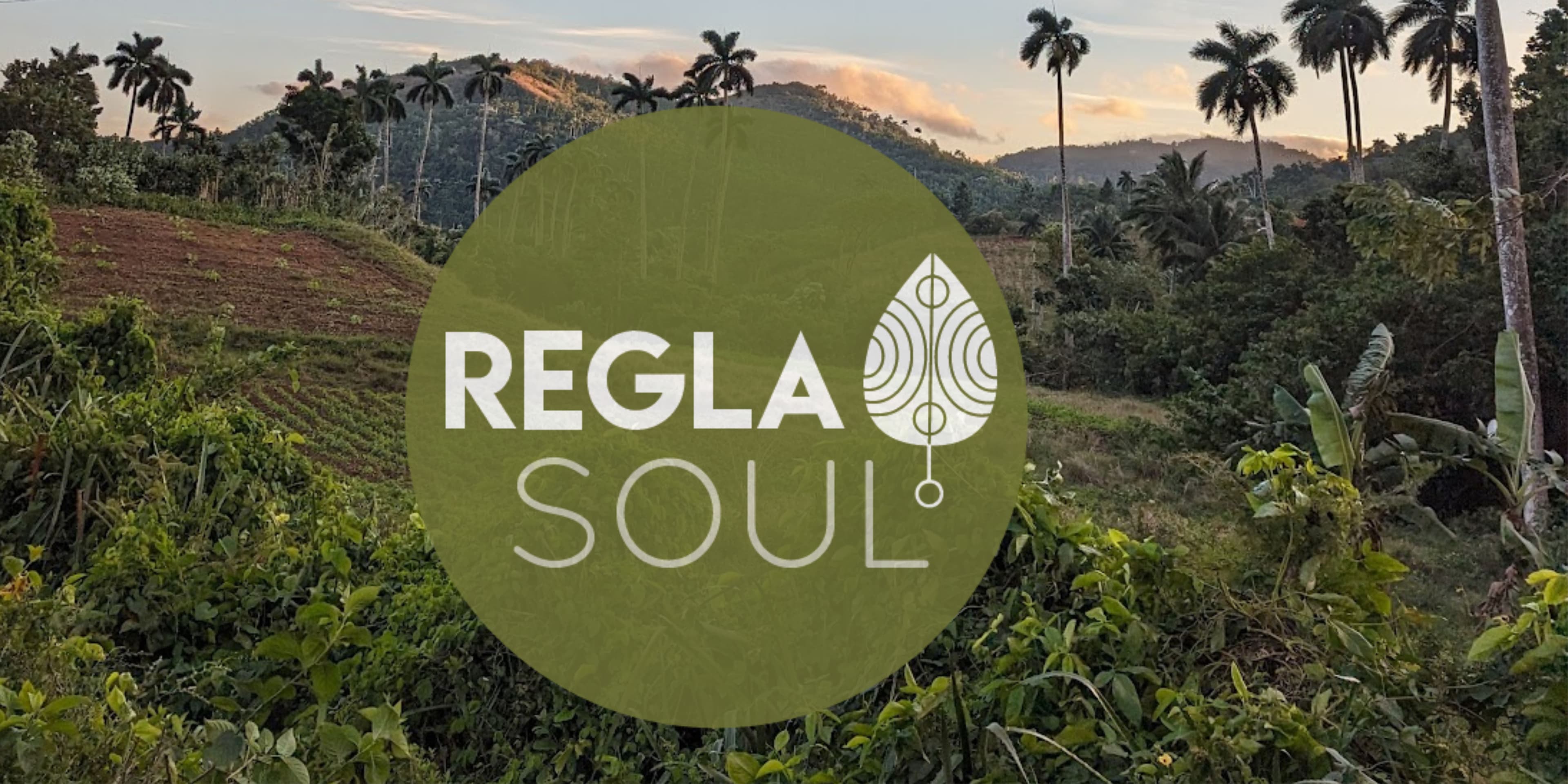 ReglaSOUL