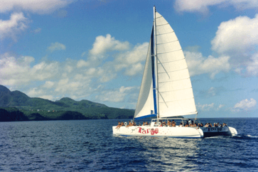 Sea Spray Cruises Ltd photo 2